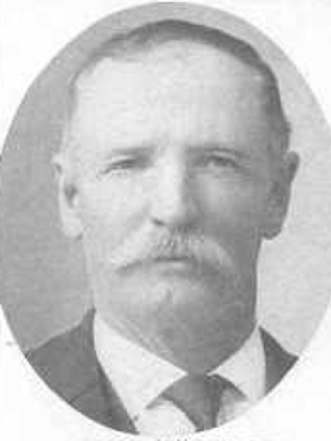 William John Fifield (1846 - 1905) Profile